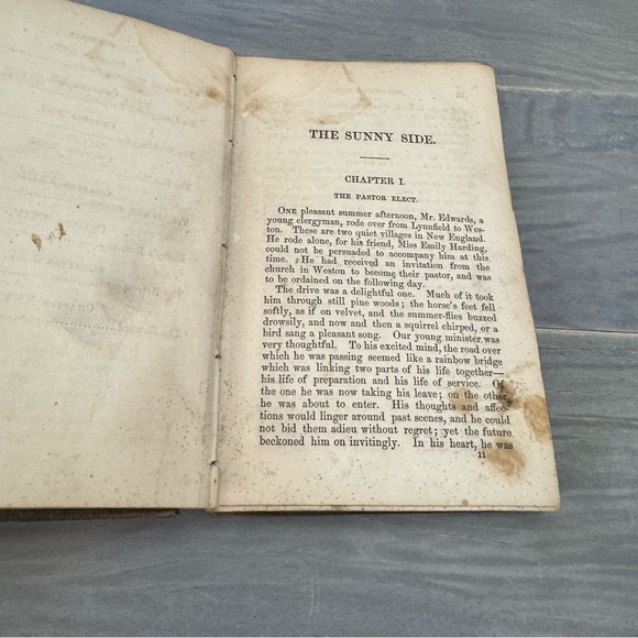 Antique THE SUNNY SIDE; or, the Country Minister's Wife 1851Hardback Book - Picture 15 of 17